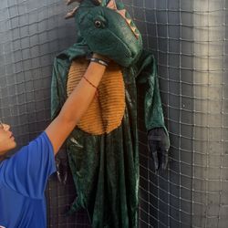 Dragon  Costume 