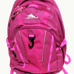 High Sierra Multi Compartment Padded Backpack 