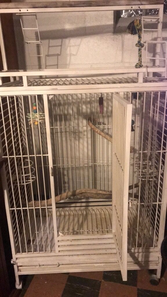 Large Iron Bird Cage