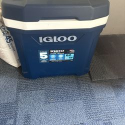igloo cooler 
