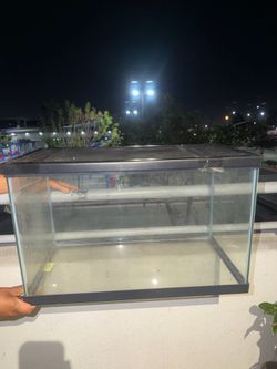 Fish tank