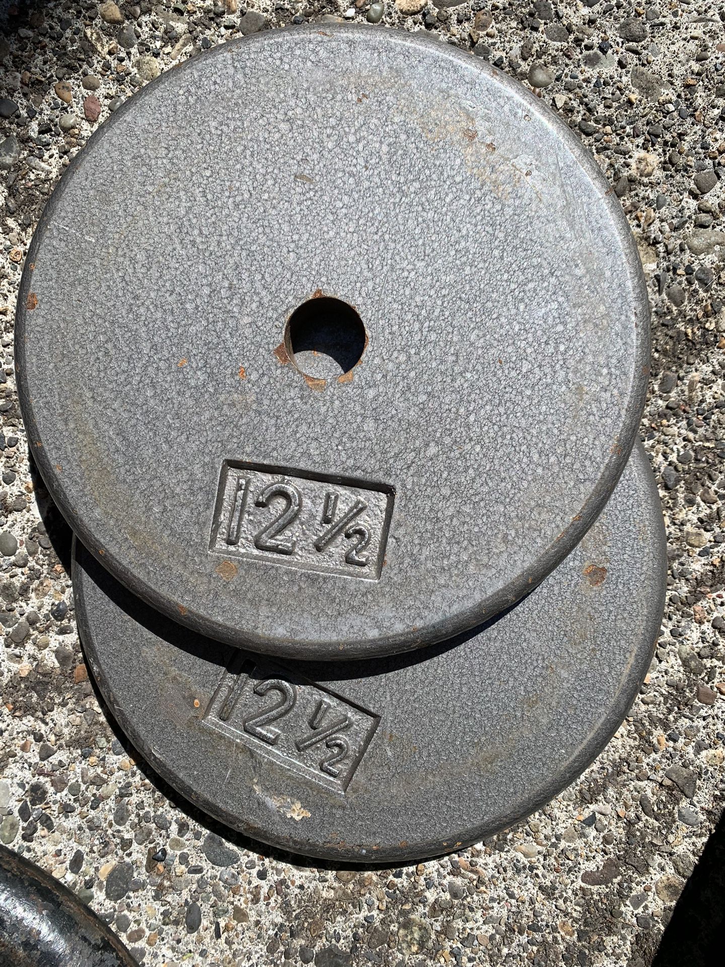Pair Of 12.5 Lbs Standard Weight Plates
