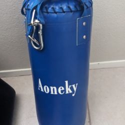 Kids 10 LB Heavy Punching Bag