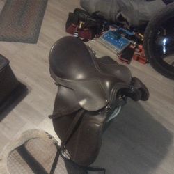Saddle Horse. Old English  Size 15 And Saddle Pad