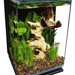 5-gallon marine land fish tank 