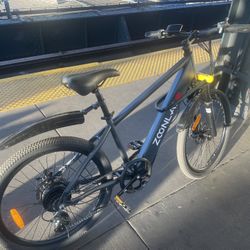 Electric Bicycle 