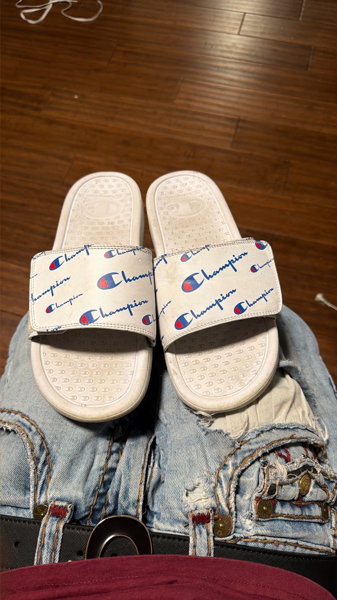 Champion Slides