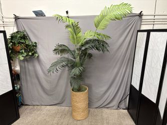 Artificial Areca Palm Tree in Wicker Basket