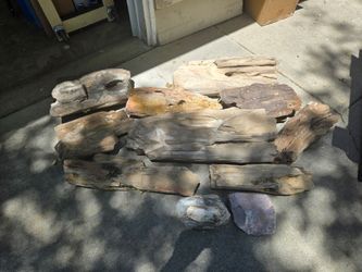 Petrified Wood