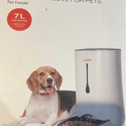 Wopet boundless love for pet