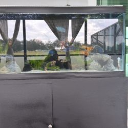 125 Gallons fish Tank  FOR SALE !!!! OBO