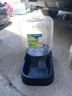 Gravity water pitcher for dog