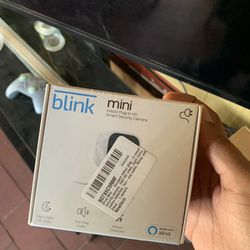 Brand New Blink Mini 