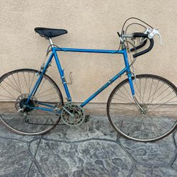 Nishiki Classic Road Bike