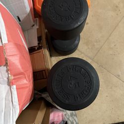 45 lb dumbbell pair