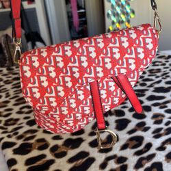Dior Saddle Bag
