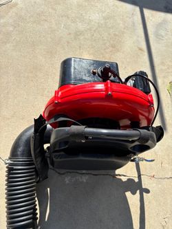Commercial Gas Blower