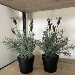 Set Of 2 Faux Lavender Plants $10