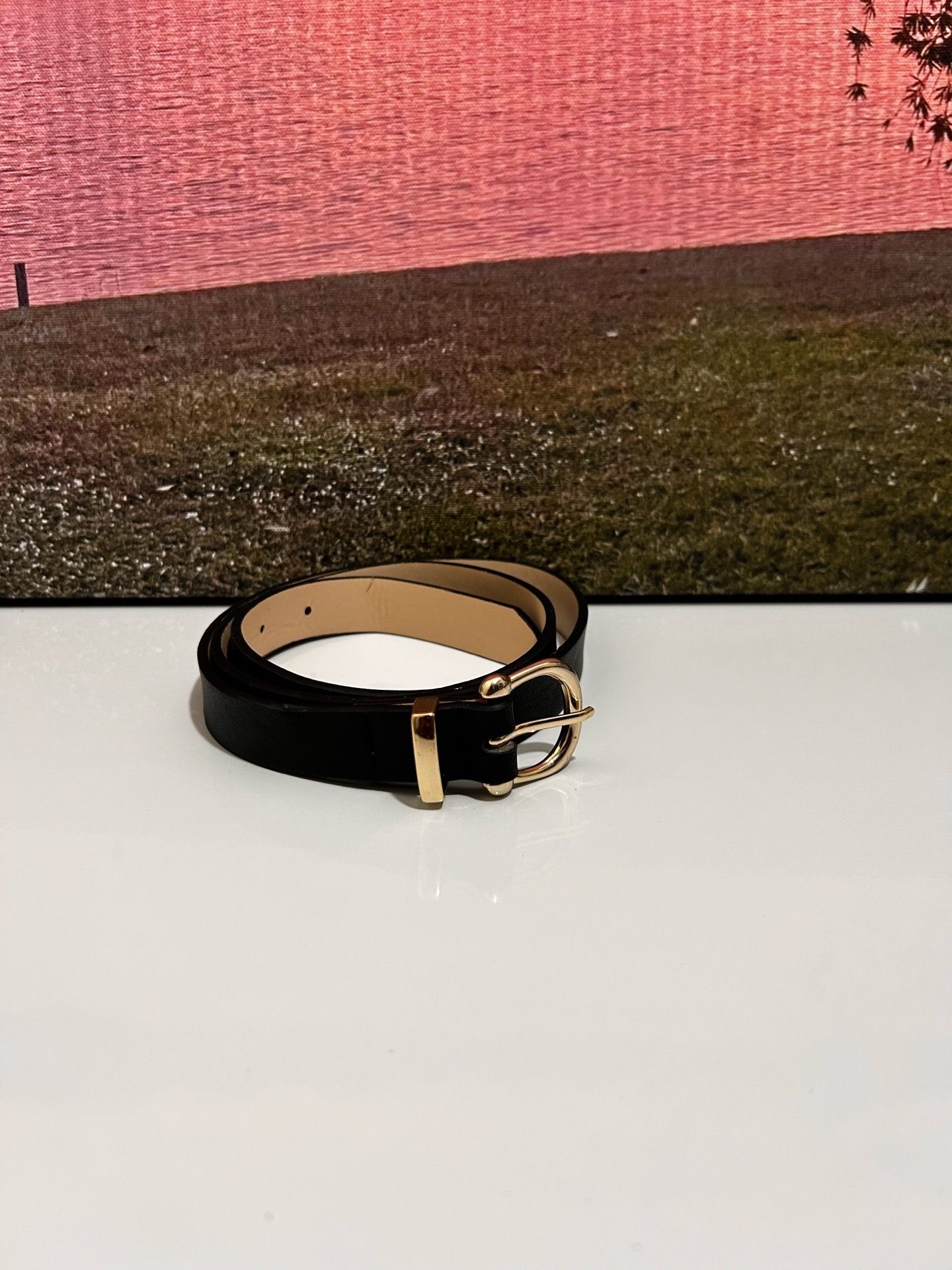 Black Gold-Tone Buckle Women's Basic Belt Solid Classic Adjustable One Size