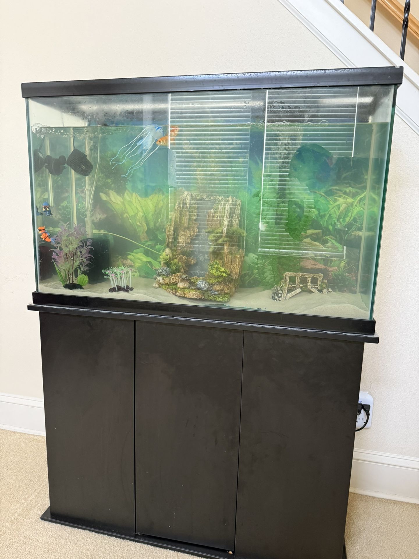 45 Gallon Aquarium