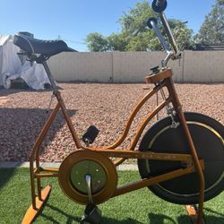 Vintage 1973 Schwinn Exerciser Bike
