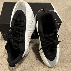 Anthony Edward’s 1 