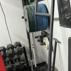 Camber Squat Bar 
