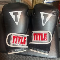 Title Boxing Gloves