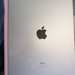 iPad Air in green
