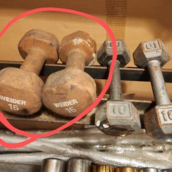 Dumbbells Gym Weights $10 Pair 