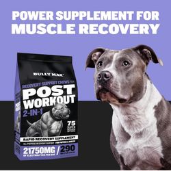 NEW BULLY MAX 2 IN 1 POST WORKOUT HYDRATION/ELECTROLYTE RECOVERY CHEWS