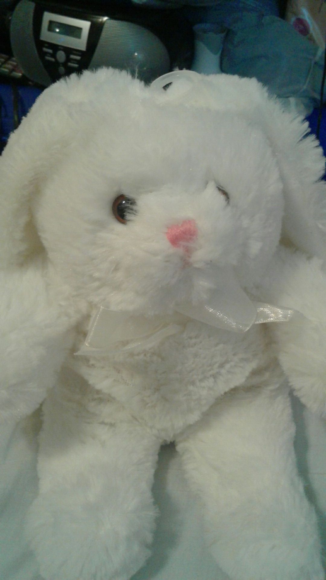 Bunny