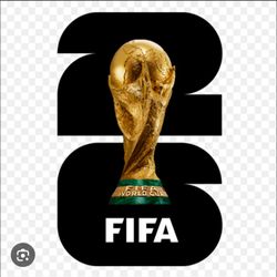 Fifa world cup bosnia vs qatar