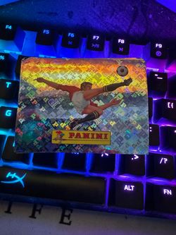 PANINI