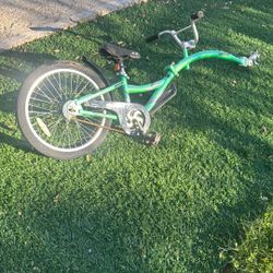 Wee Ride Co Pilot Bike 