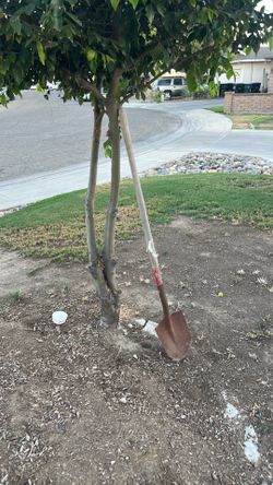 Shovel