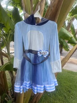 Bluey Costume
