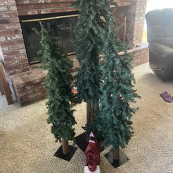 Tree For House 