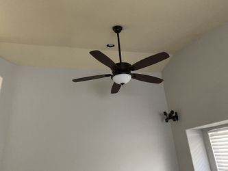 Ceiling Fan