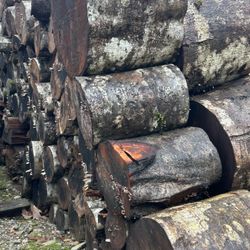 Alder Firewood Rounds -Make Offer For All Or Part.