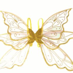 Fairy Wings Adult Or Youth
