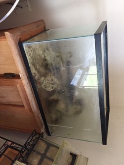 20 gallon fish tank and rocks