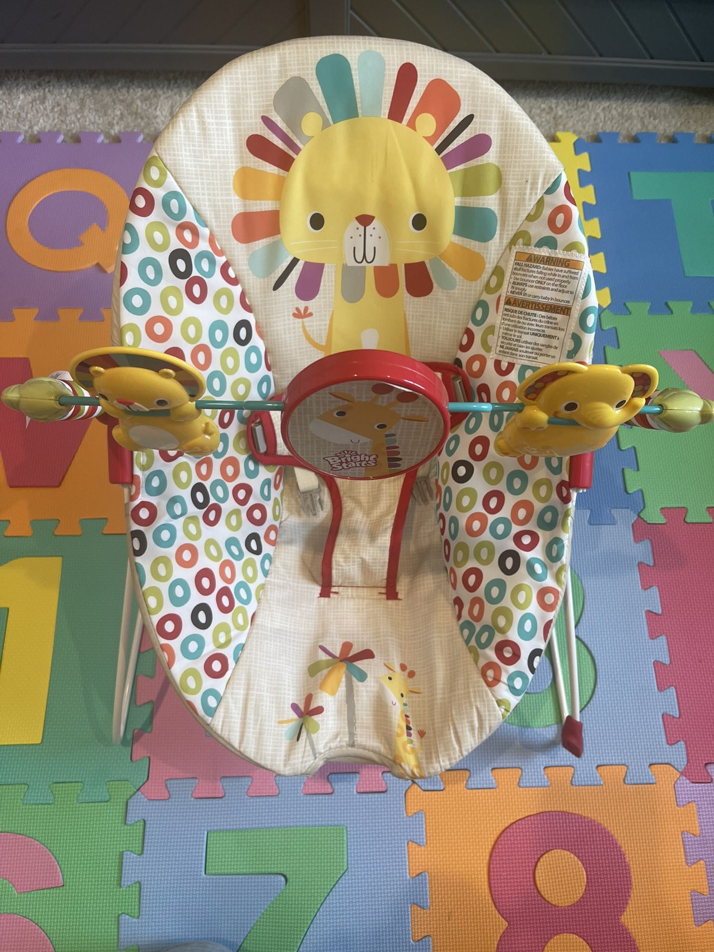 Infant Baby Bouncer
