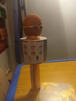 Karaoke Microphone.