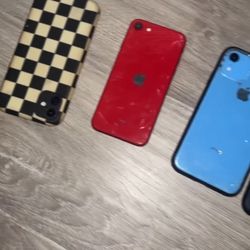 iPhone 11 And Xr 