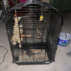 Bird cage