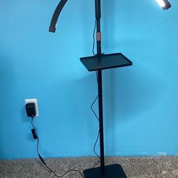 New- Half Moon Floor Lamp with Tray and Remote 