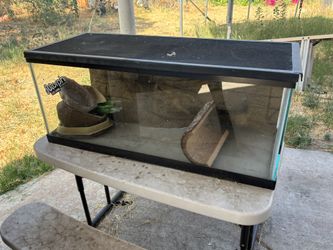 Reptile Tank
