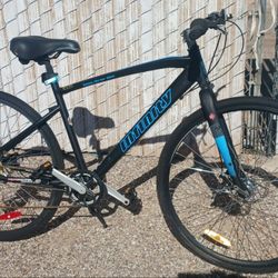 Infinity Boss Three Disc Bike 