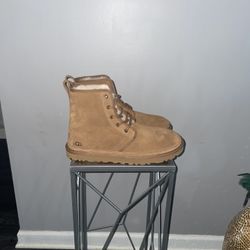 size ten brand new men uggs